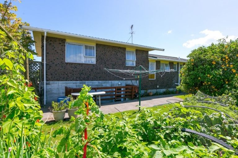 Photo of property in 20 Leon Place, Waitara, 4320