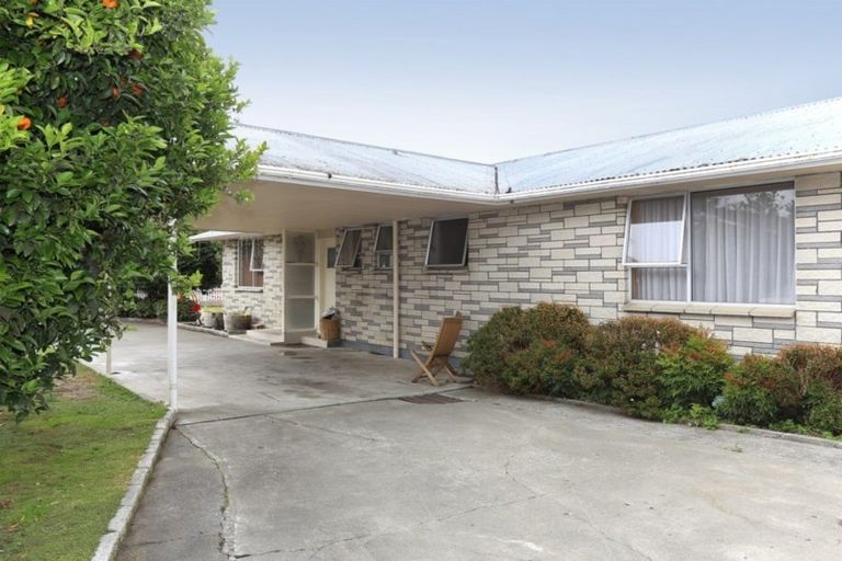 Photo of property in 133 Flaxmere Avenue, Flaxmere, Hastings, 4120