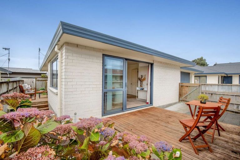 Photo of property in 46a Salisbury Street, Levin, 5510