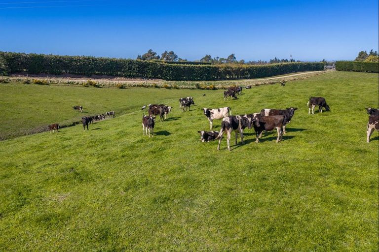 Photo of property in 266 Rangiora Leithfield Road, Sefton, 7477