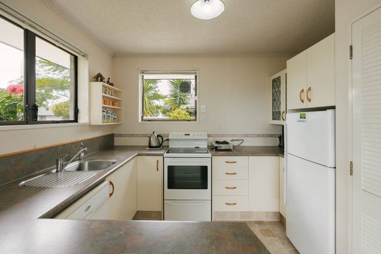 Photo of property in 4 Mcarthur Street, Terrace End, Palmerston North, 4410