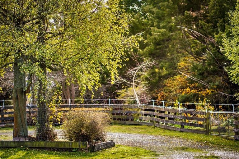 Photo of property in 321 Southbridge Leeston Road, Leeston, 7683