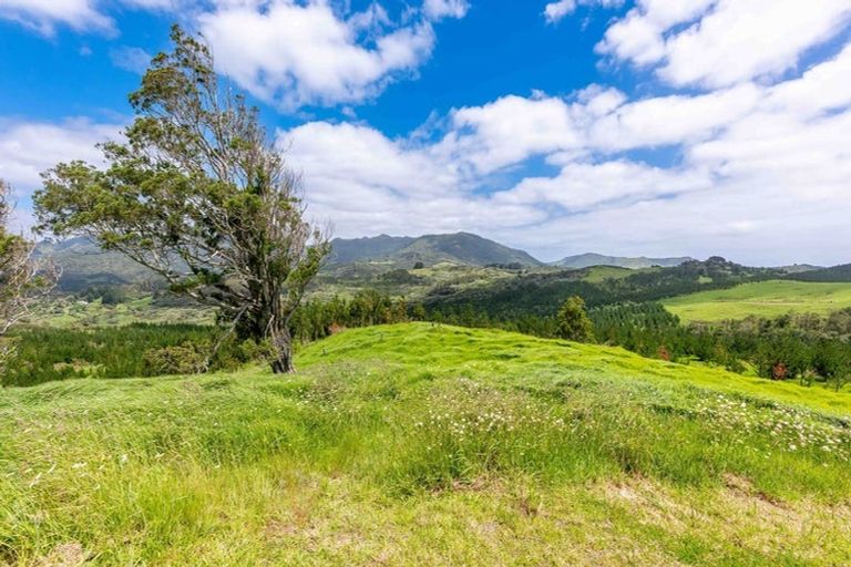Photo of property in 183 Koutu Loop Road, Whirinaki, 0473