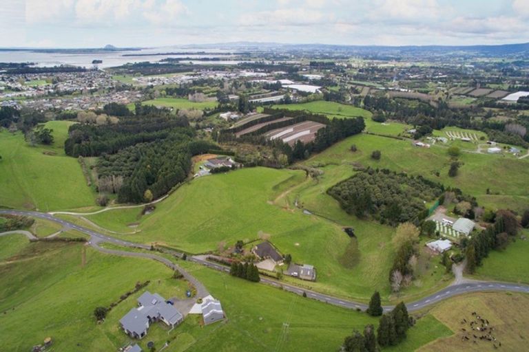 Photo of property in 87 Busby Road, Tahawai, Katikati, 3170