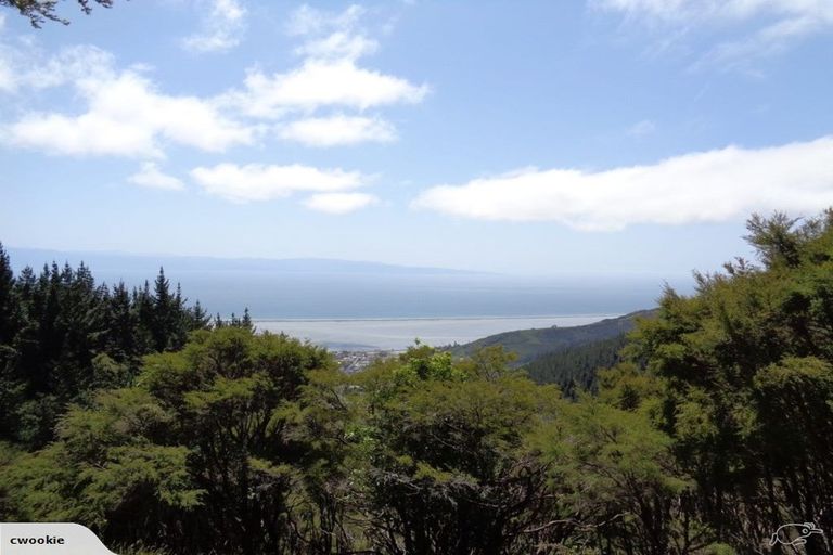 Photo of property in 141 Dodson Valley Road, Atawhai, Nelson, 7010