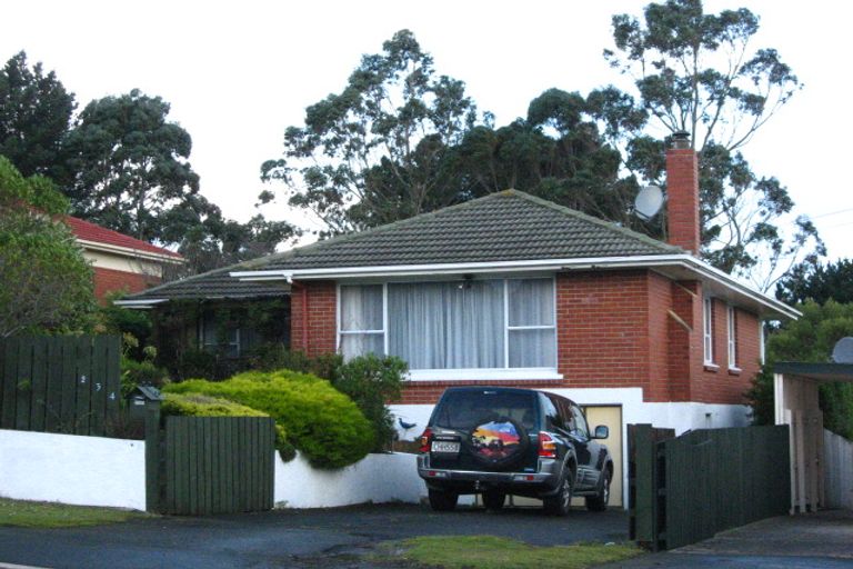 Photo of property in 234 Highcliff Road, Shiel Hill, Dunedin, 9013