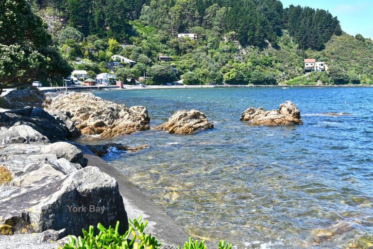 Photo of property in 52 Waitohu Road, York Bay, Lower Hutt, 5013