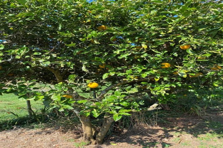 Photo of property in 102 Kennedy Road, Waikino, Waihi, 3682