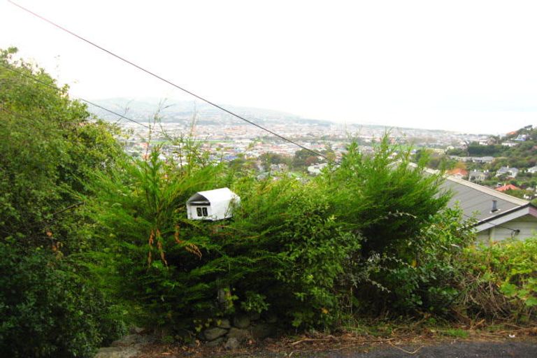 Photo of property in 51 Morrison Street, Caversham, Dunedin, 9012