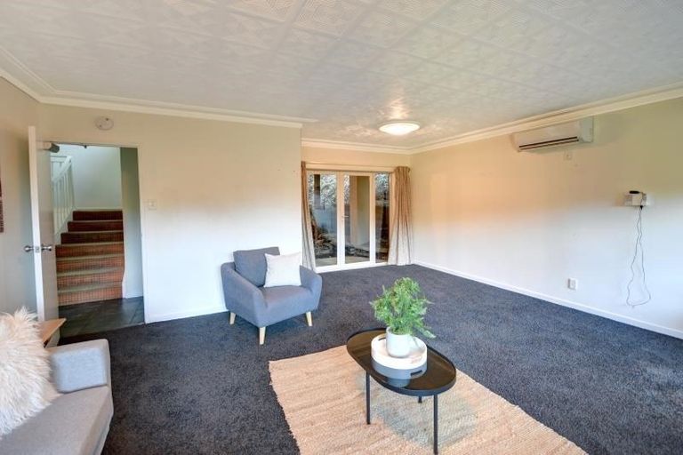 Photo of property in 45 Leven Street, Roslyn, Dunedin, 9010