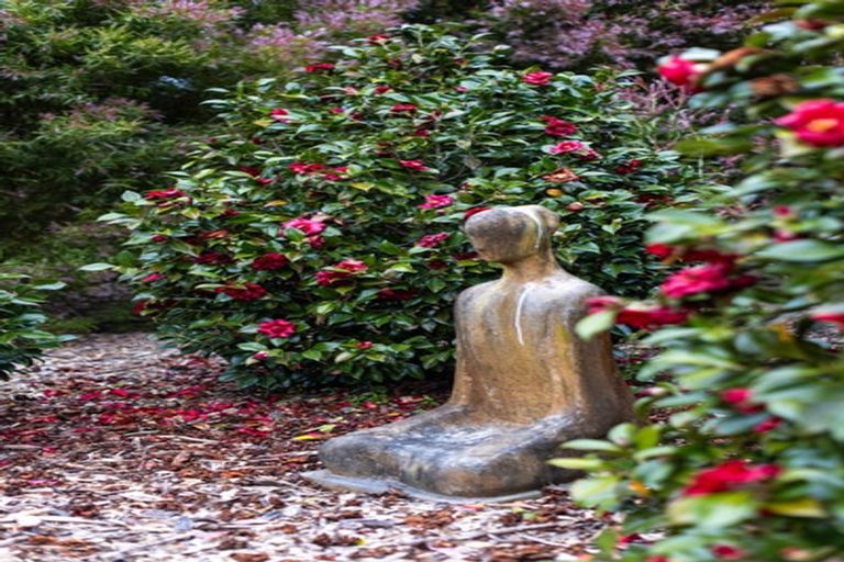 Photo of property in 60 Robinson Road, Coatesville, Albany, 0793