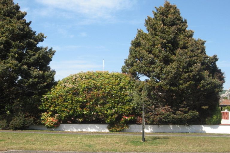 Photo of property in 1/50 Robertson Street, Glenholme, Rotorua, 3010