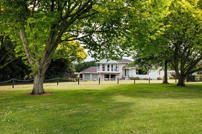 Photo of property in 125 Tutaki Road, Kelvin Grove, Palmerston North, 4470