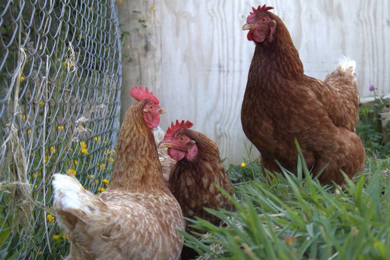 Photo of property in 1640 Mangorei Road, Mangorei, New Plymouth, 4371