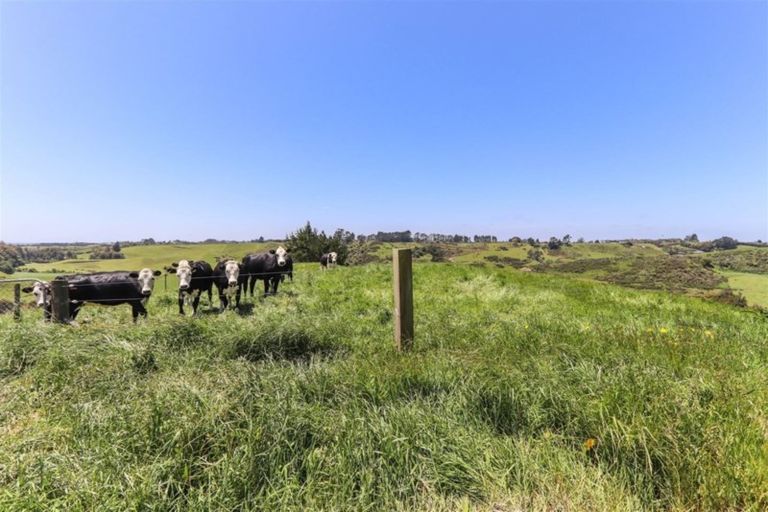 Photo of property in 389 Wortley Road, Waiongana, Inglewood, 4389