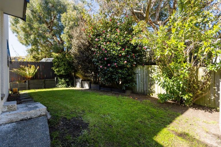Photo of property in 170 Somerville Street, Waverley, Dunedin, 9013