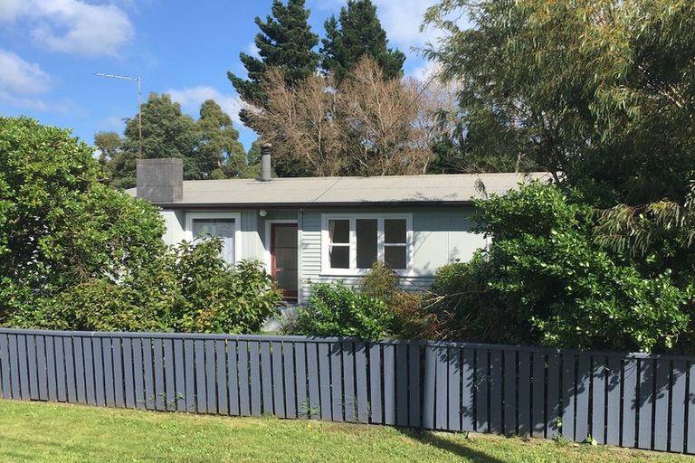 Photo of property in 86 Brandon Street, Featherston, 5710