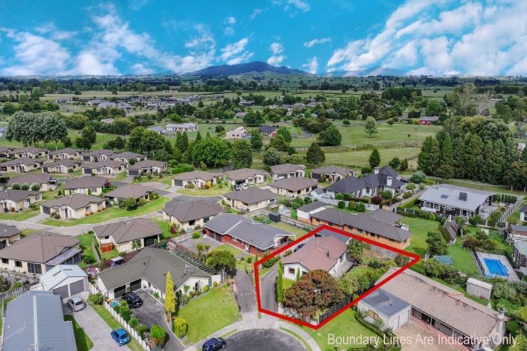 Photo of property in 8 Mahoe Place, Matamata, 3400