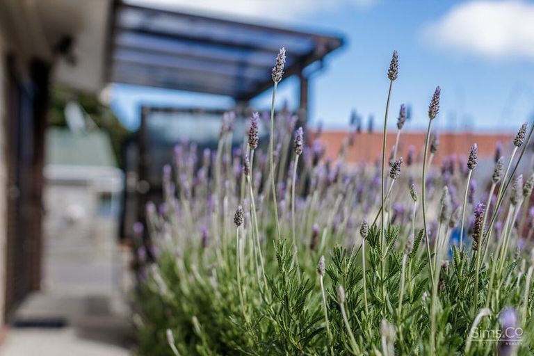 Photo of property in 93b Heads Road, Gonville, Whanganui, 4501