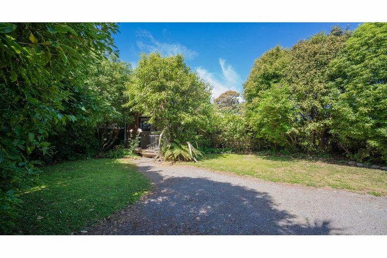 Photo of property in 43 Donegal Street, Belfast, Christchurch, 8051