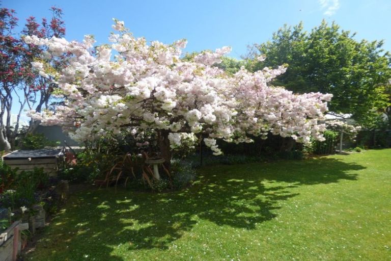 Photo of property in 45 Tui Street, Taupo, 3330