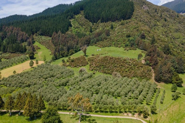 Photo of property in 145 Andrews Road, Wairoa Valley, Brightwater, 7091