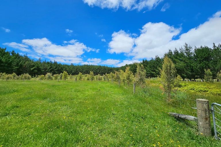 Photo of property in 1296 Wekaweka Road, Waimamaku, Kaikohe, 0473
