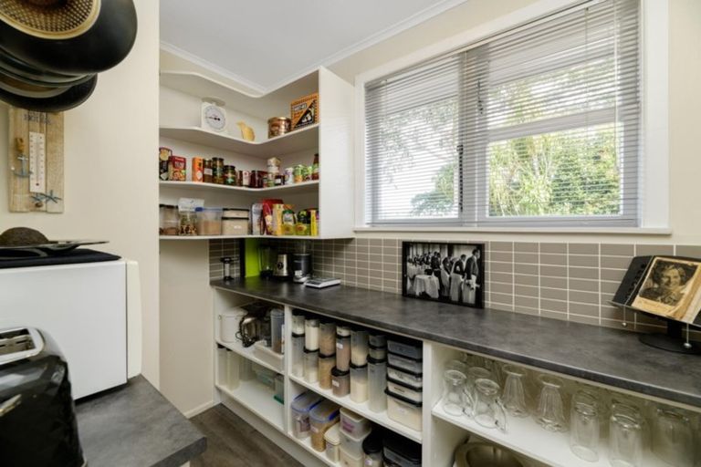 Photo of property in 101 Freyberg Street, Otumoetai, Tauranga, 3110