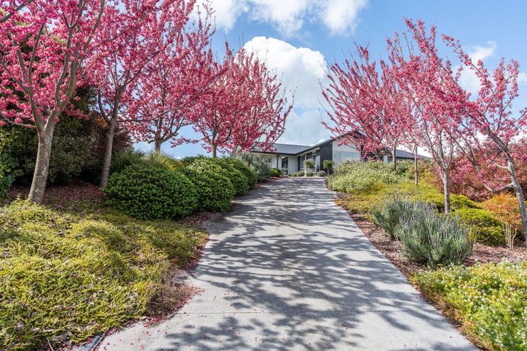 Photo of property in 29 Charles Edwards Street, Ohaupo, 3803