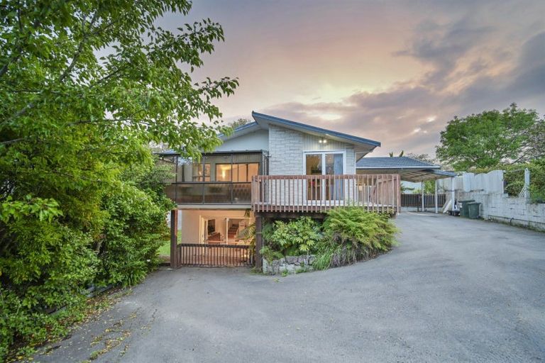 Photo of property in 60 Mchardy Street, Havelock North, 4130