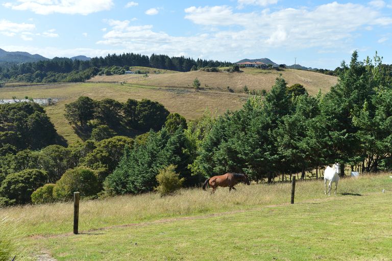 Photo of property in 279 Campbell Road, Parua Bay, Onerahi, 0192