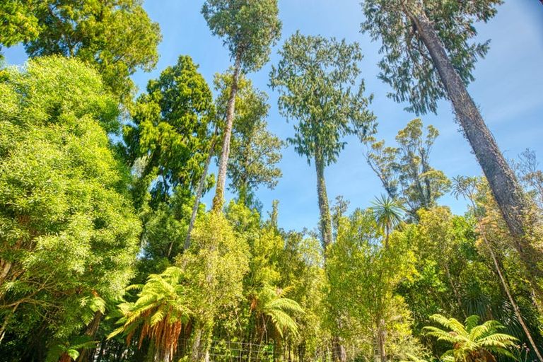 Photo of property in 215 Clifton Road, Kaiata, Greymouth, 7805