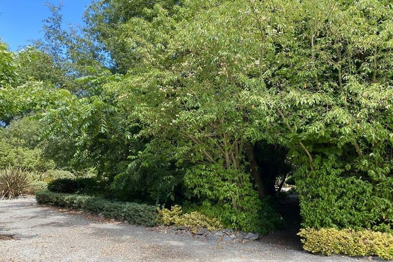 Photo of property in 98 Hawke Road, Orari, Geraldine, 7992