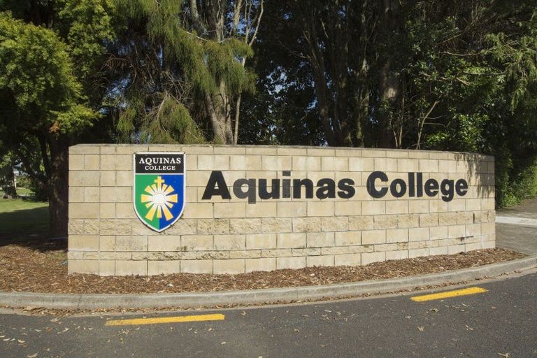 Photo of property in 3 Hanlow Place, Pyes Pa, Tauranga, 3112