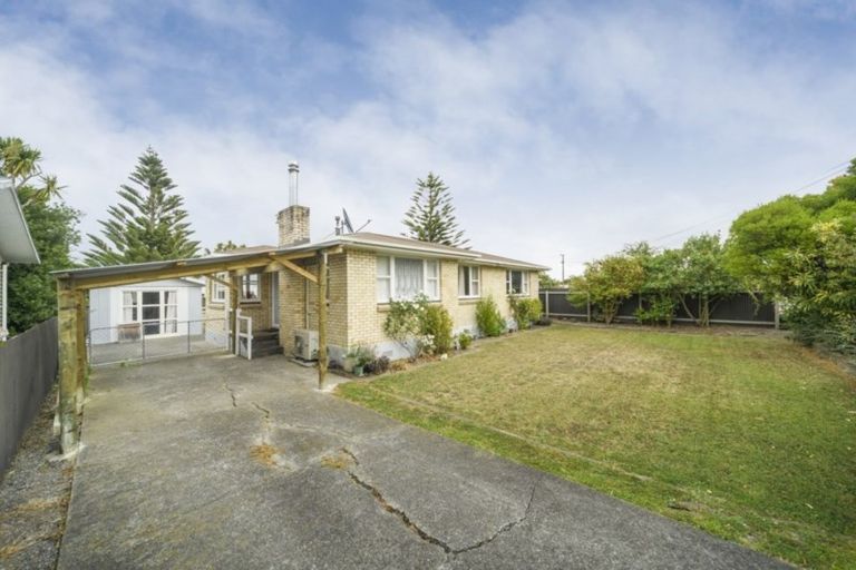 Photo of property in 24 Potaka Street, Marton, 4710