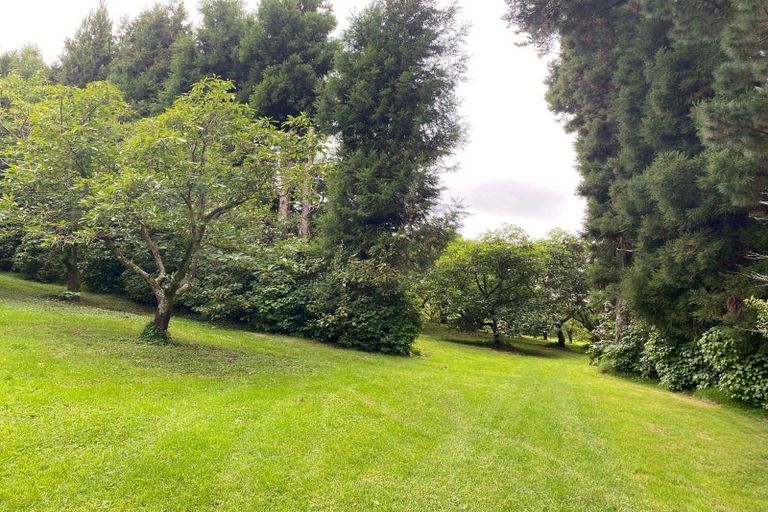 Photo of property in 314 Busby Road, Tahawai, Katikati, 3170