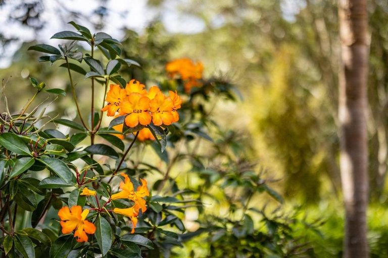 Photo of property in 73 Hone Heke Road, Kerikeri, 0230