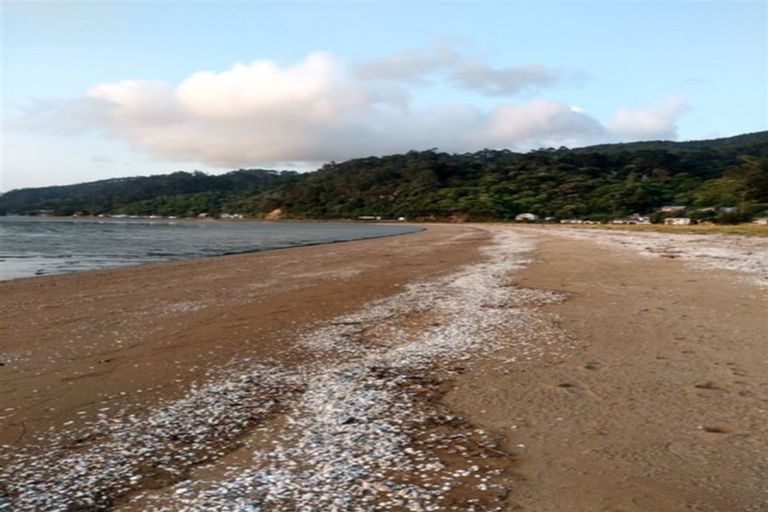 Photo of property in 410 Tararu Sh25 Road, Thames, 3500