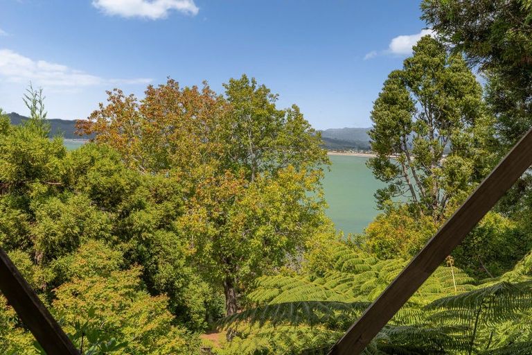 Photo of property in 219 Buffalo Beach Sh25 Road, Whitianga, 3592