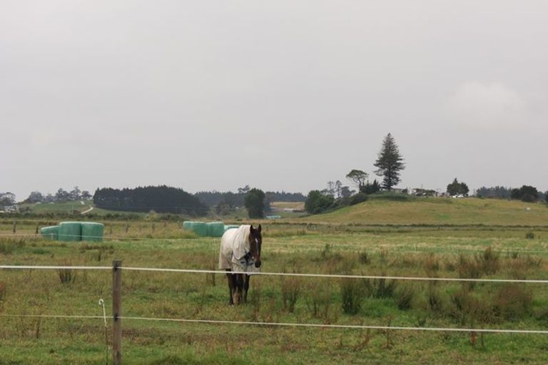 Photo of property in 39 Notorious Road West, Dargaville, 0371