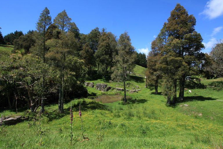 Photo of property in 182 Ohautira Road, Raglan, 3295