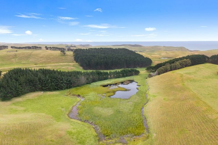 Photo of property in 1265 Babylon Coast Road, Omamari, Dargaville, 0373