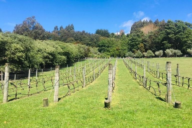 Photo of property in 5518 Christchurch Akaroa Road, French Farm, 7582