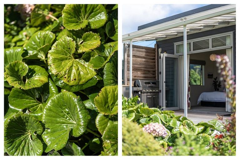 Photo of property in 38 Tanners Point Road, Tanners Point, Katikati, 3177