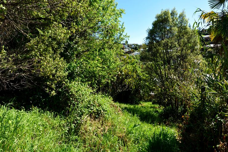 Photo of property in 73 Washington Road, Washington Valley, Nelson, 7010