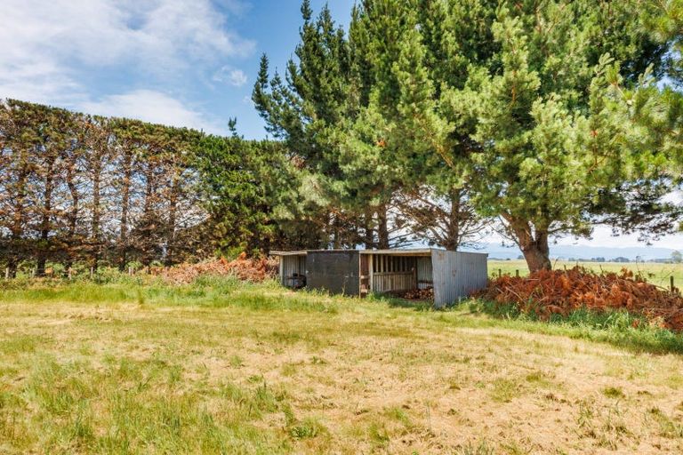 Photo of property in 154a Motuiti Road, Foxton, 4891