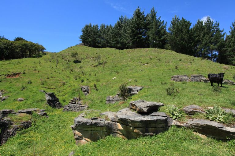 Photo of property in 182 Ohautira Road, Raglan, 3295