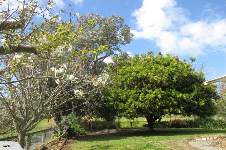 Photo of property in 1035 Kairakau Road, Kairakau, Havelock North, 4295