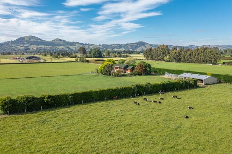 Photo of property in 56 Dukes Road South, Mosgiel, 9092