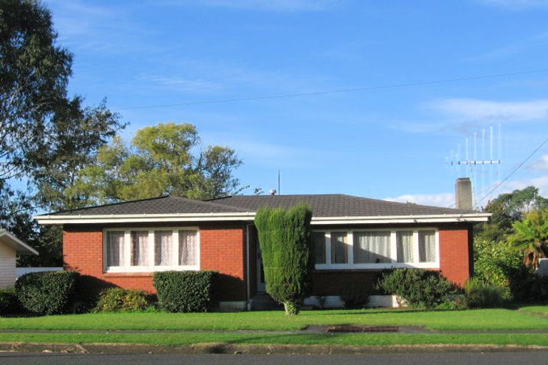 Photo of property in 17 Papanui Street, Tokoroa, 3420